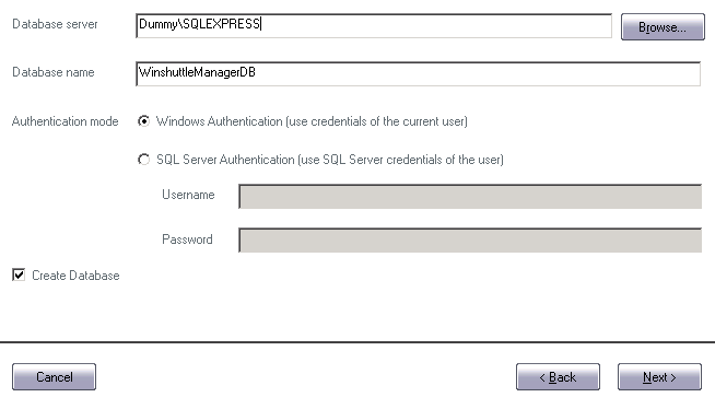 Enter the Database server and Database Name, and define the authentication method. Manager Database Details screenshot