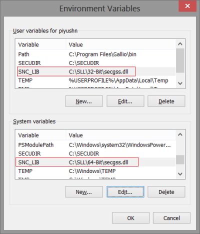 winshuttle-server-environment-variables-64bit
