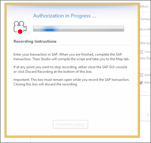 Fenster während der Wartezeit, bis SAP-GUI startet