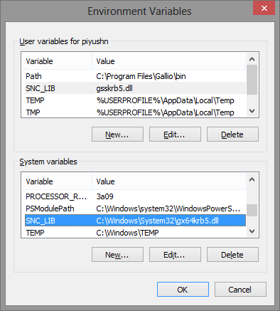 Environment Variables screen Environment Variables screen