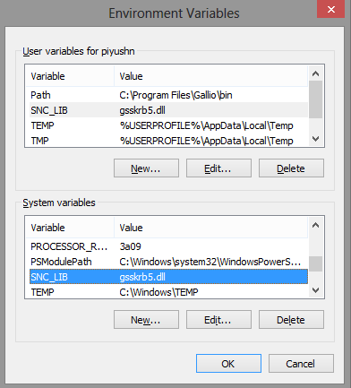 Environment Variables screen Environment Variables screen