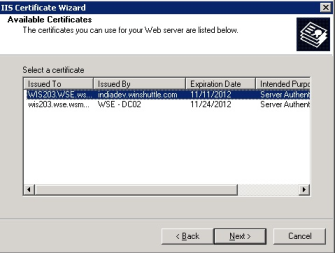 IIS Certificate Wizard