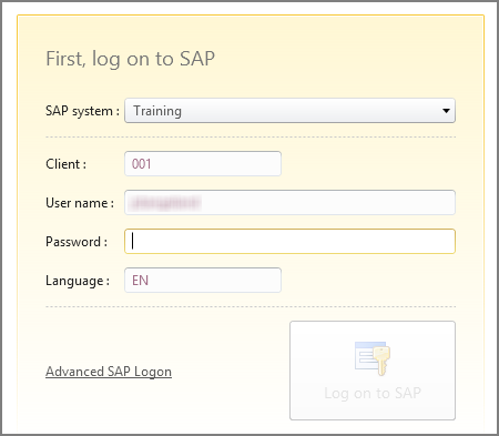 sap logon box